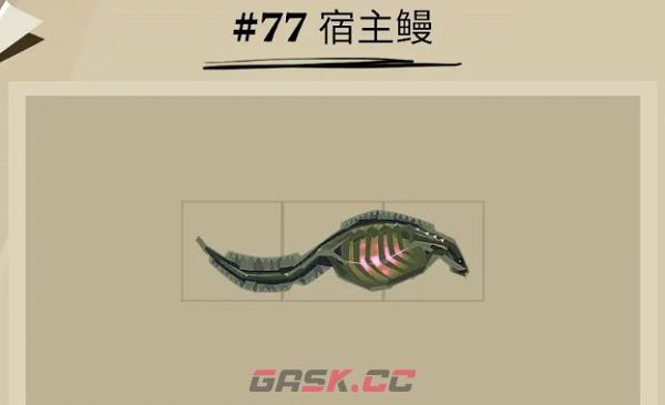 《渔帆暗涌》宿主鳗位置一览-第3张-手游攻略-GASK