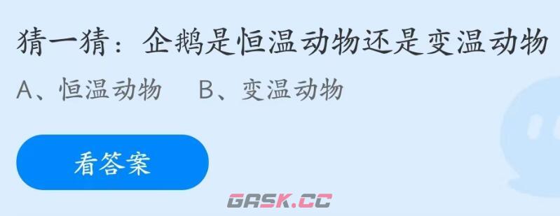 企鹅是恒温动物还是变温动物-第2张-手游攻略-GASK