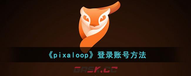 《pixaloop》登录账号方法-第1张-手游攻略-GASK