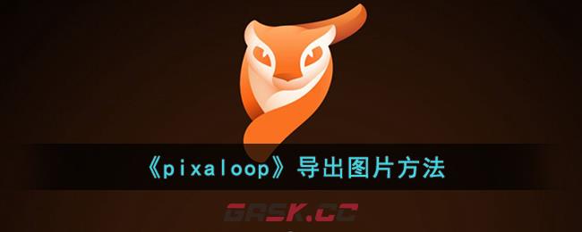 《pixaloop》导出图片教程-第1张-手游攻略-GASK