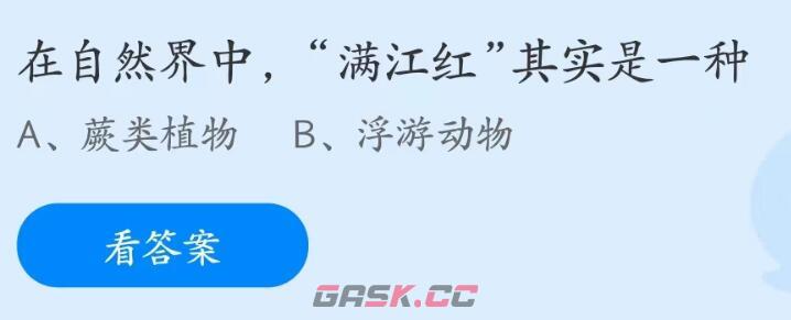 在自然界中满江红其实是一种-第2张-手游攻略-GASK