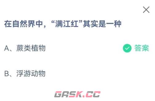 在自然界中满江红其实是一种-第3张-手游攻略-GASK