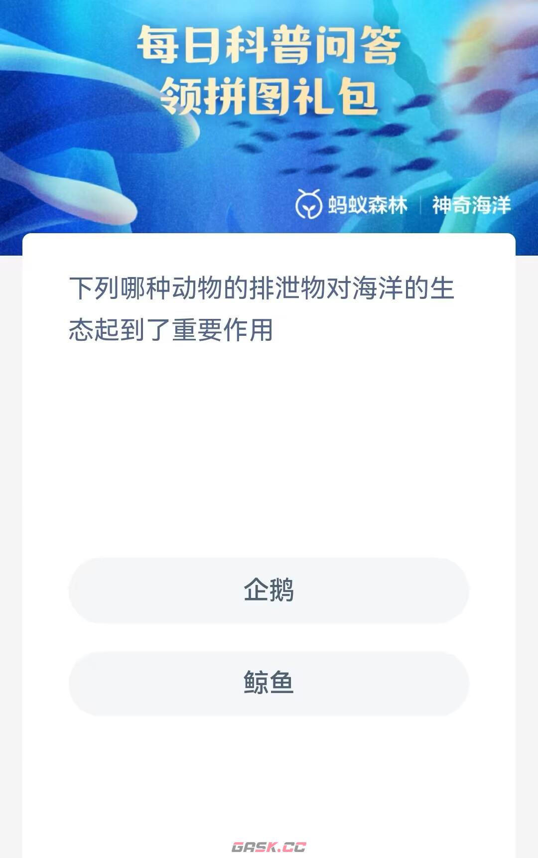 下列哪种动物的排泄物对海洋的生态起到了重要作用-第2张-手游攻略-GASK