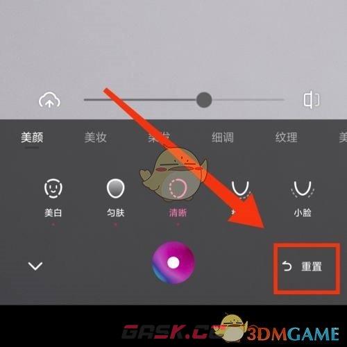 《一甜相机》恢复默认设置方法-第4张-手游攻略-GASK