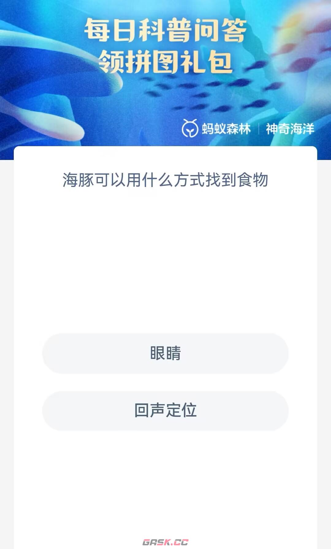 海豚可以用什么方式找到食物-第2张-手游攻略-GASK