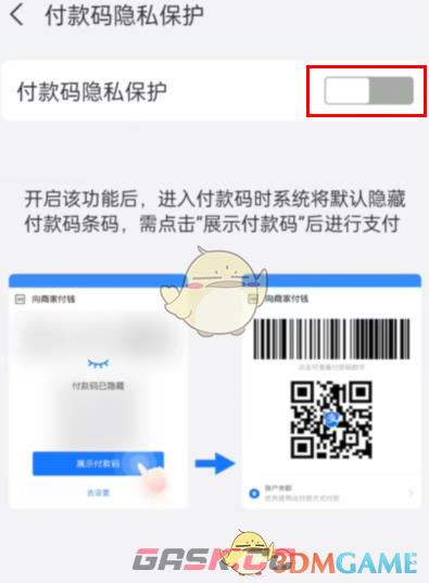 《支付宝》隐私付款码设置方法-第4张-手游攻略-GASK