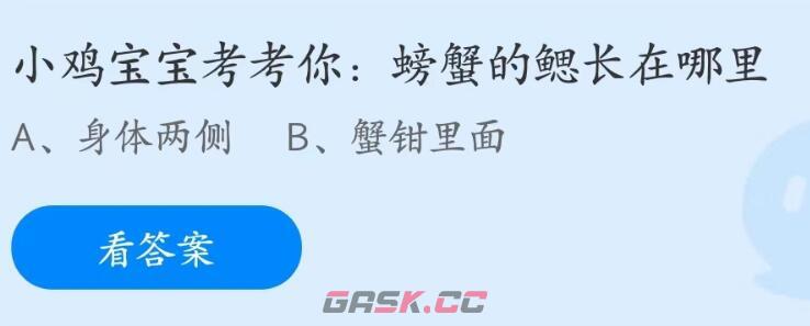 小鸡宝宝考考你螃蟹的鳃长在哪里-第2张-手游攻略-GASK