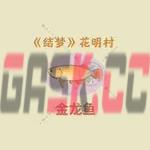 《桃源深处有人家》朱敬儒喜好一览-第5张-手游攻略-GASK