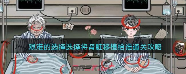 《文字玩出花》艰难的选择选择将肾脏移植给谁通关攻略-第1张-手游攻略-GASK
