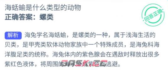 海蛞蝓是什么类型的动物-第2张-手游攻略-GASK
