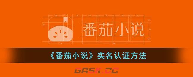 《番茄小说》实名认证方法-第1张-手游攻略-GASK
