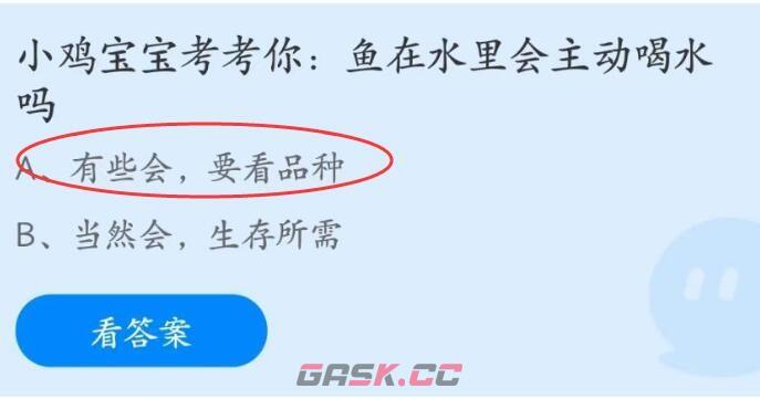 小鸡宝宝考考你：鱼在水里会主动喝水吗-第2张-手游攻略-GASK