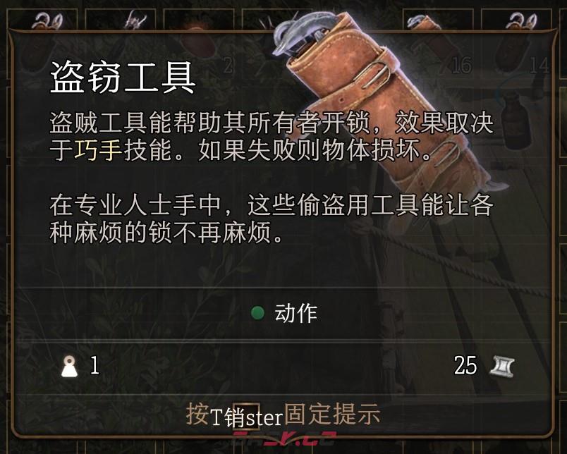 博德之门3盗窃工具道具有什么用-第2张-单机攻略-GASK