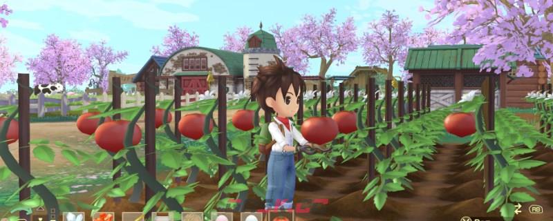 牧场物语美丽人生首次将动物或禽类的亲密度升到最高怎么解锁-第1张-单机攻略-GASK