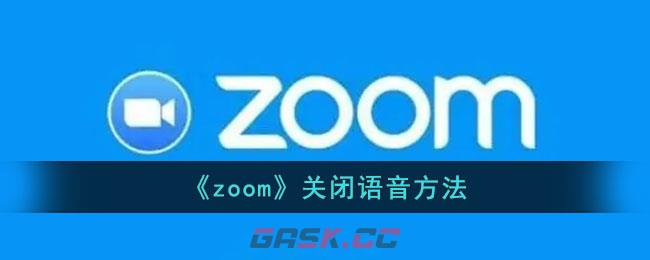 《zoom》关闭语音方法-第1张-手游攻略-GASK