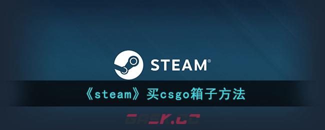 《steam》买csgo箱子方法-第1张-手游攻略-GASK