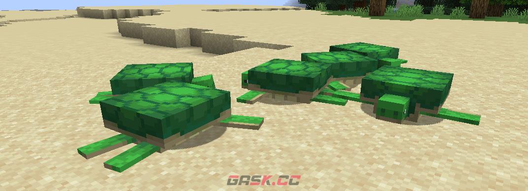 《我的世界》海龟图鉴-第1张-单机攻略-GASK