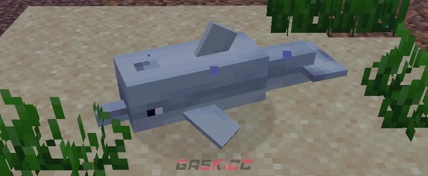 《我的世界》海豚图鉴-第1张-单机攻略-GASK