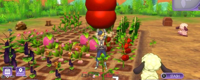 符文工房5智力补品怎么做-第1张-单机攻略-GASK