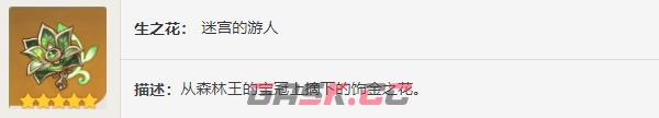 《原神》圣遗物——深林的记忆-第7张-手游攻略-GASK