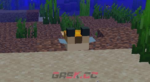 《我的世界》河豚图鉴-第1张-单机攻略-GASK