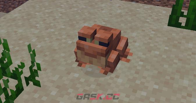 《我的世界》青蛙图鉴-第1张-单机攻略-GASK