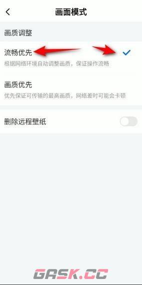 《todesk》画面模式设置方法-第4张-手游攻略-GASK