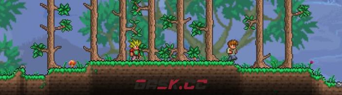 泰拉瑞亚哥布林军队配饰推荐-第1张-单机攻略-GASK