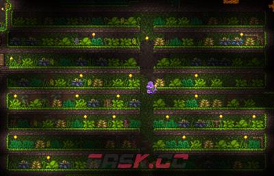 泰拉瑞亚钓鱼能获得物品介绍-第1张-单机攻略-GASK