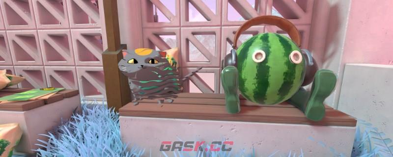 取景器循环放映怎么解锁-第1张-单机攻略-GASK