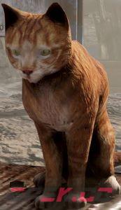 辐射76猫在哪-第2张-单机攻略-GASK