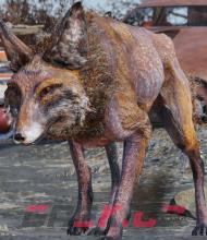 辐射76狐狸在哪-第2张-单机攻略-GASK