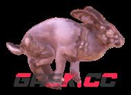 辐射76兔子在哪-第2张-单机攻略-GASK