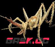 辐射76洞穴蟋蟀在哪-第2张-单机攻略-GASK