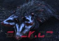 辐射76负鼠在哪-第2张-单机攻略-GASK