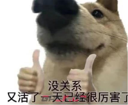 oioioi梗意思介绍-第2张-手游攻略-GASK