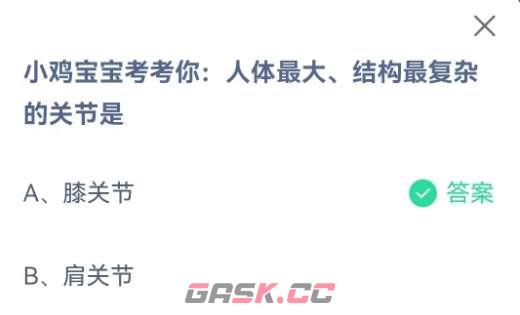 小鸡宝宝考考你人体最大结构最复杂的关节是-第2张-手游攻略-GASK