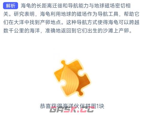 海龟的导航能力与哪一地球特性最为相关-第2张-手游攻略-GASK
