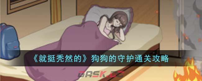 《就挺秃然的》狗狗的守护通关攻略-第1张-手游攻略-GASK