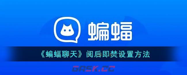 《蝙蝠聊天》阅后即焚设置方法-第1张-手游攻略-GASK