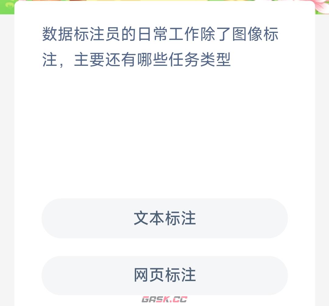 数据标注员的日常工作除了图像标注主要还有哪些任务类型-第2张-手游攻略-GASK