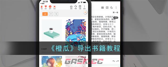 《橙瓜》导出书籍教程-第1张-手游攻略-GASK