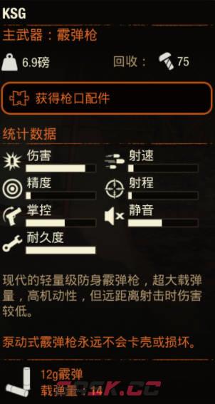 《腐烂国度2》武器 KSG怎么样-第2张-单机攻略-GASK