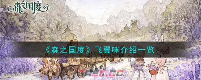 《森之国度》飞翼咪介绍一览-第1张-手游攻略-GASK