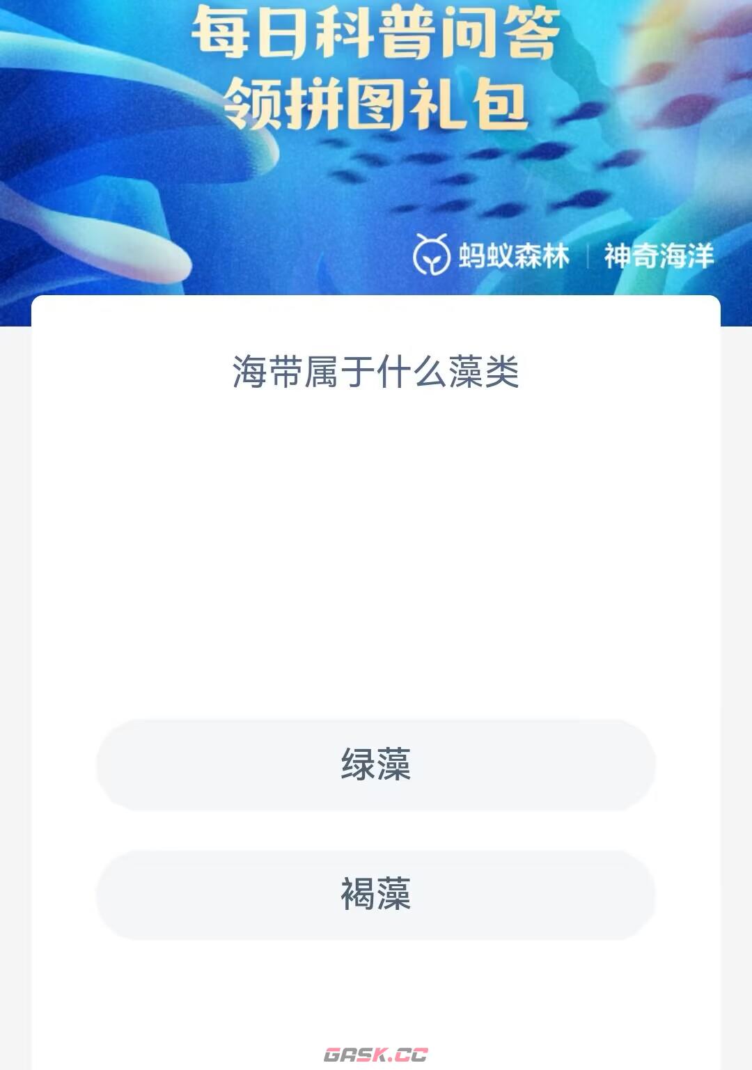 海带属于什么藻类-第2张-手游攻略-GASK