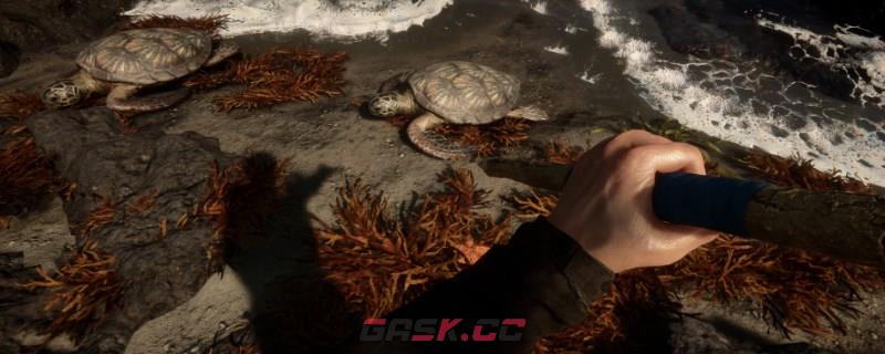 《森林之子》GPS追踪器在哪-第1张-单机攻略-GASK