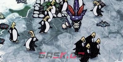 《饥荒联机版》企鹅会攻击人吗-第1张-单机攻略-GASK