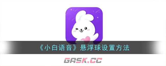 《小白语音》悬浮球设置方法-第1张-手游攻略-GASK