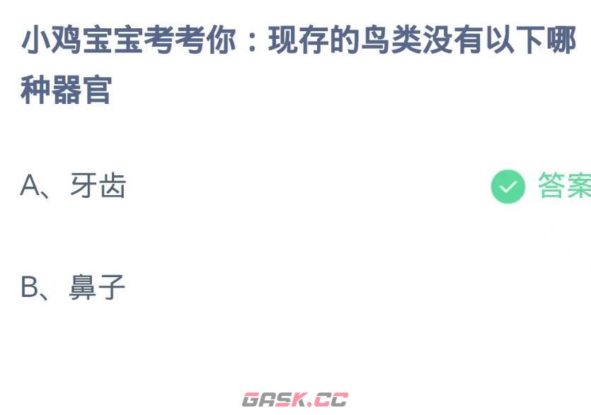 现存的鸟类没有以下哪种器官-第2张-手游攻略-GASK