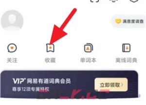 《网易有道词典》收藏查看方法-第4张-手游攻略-GASK